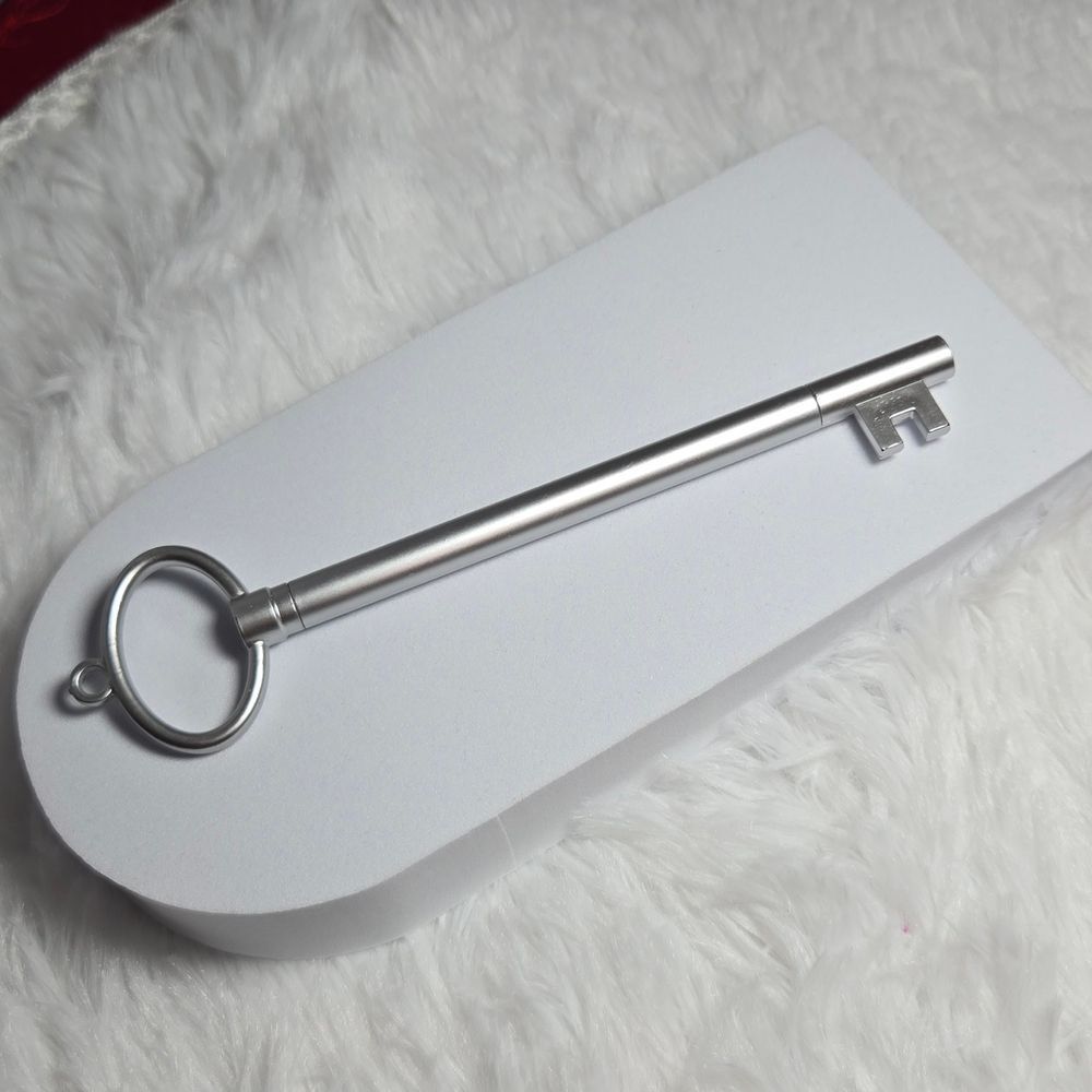 Skeleton Key Ballpoint Pen – Silver Decorative Writing Pen Gothic Desk Accessory